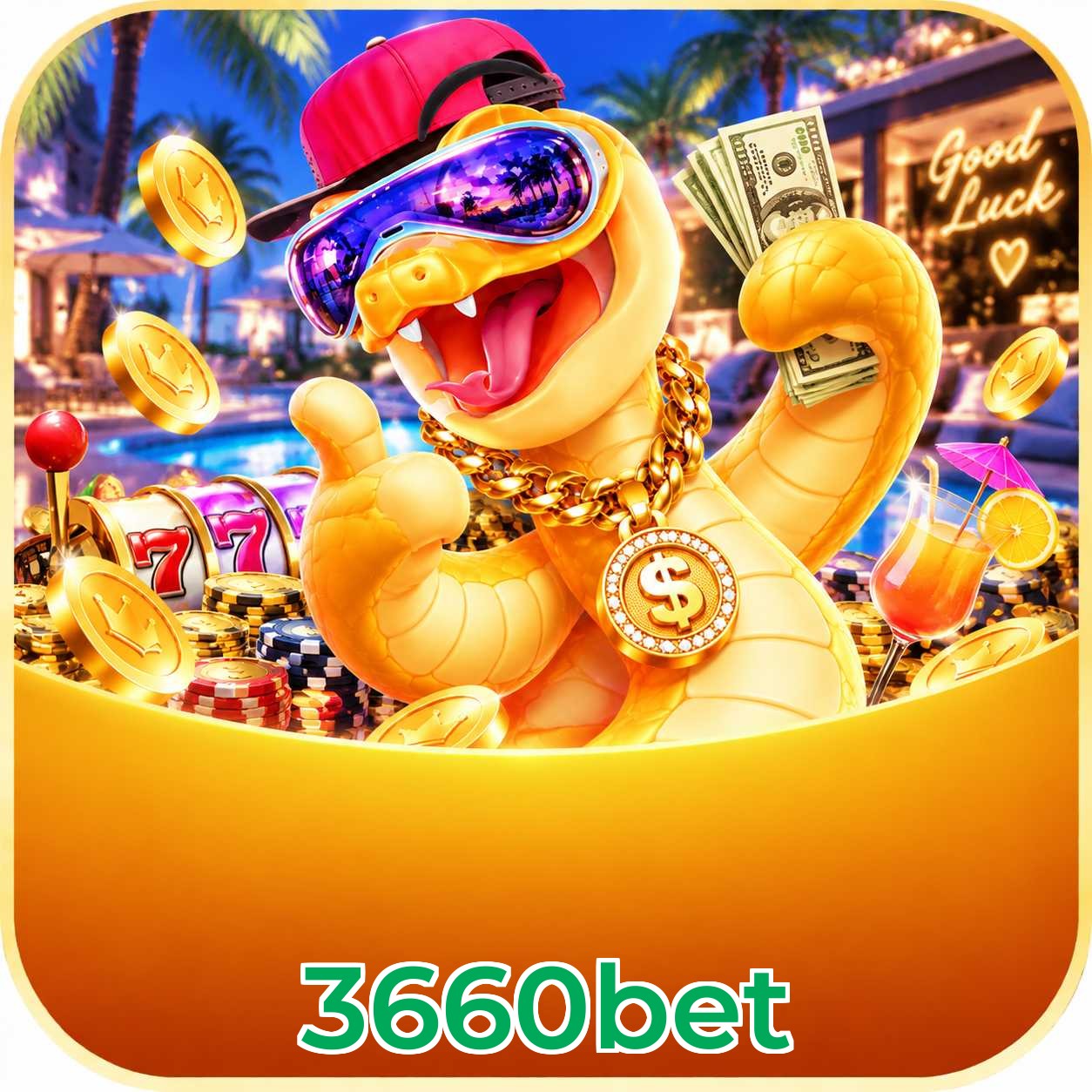 3660bet
